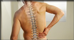 Spine Surgery & Spinal Condition Videos - Kraus Back & Neck Institute